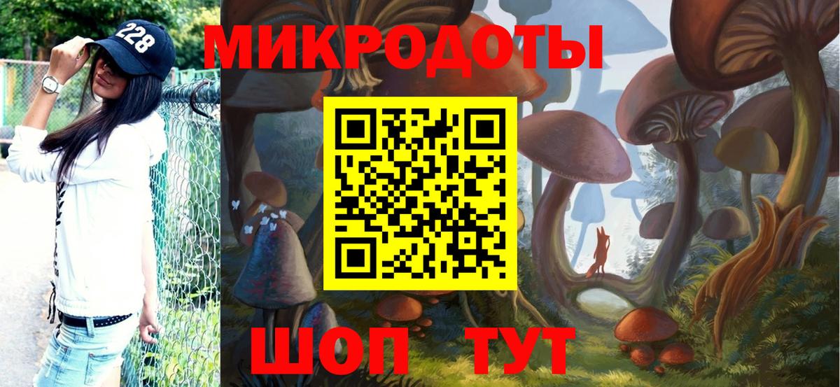 Псилоцибиновые грибы Psilocybine cubensis Гулькевичи