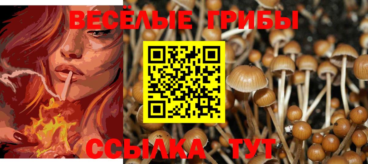 Галлюциногенные грибы Psilocybine cubensis  Вход с VPN  цена наркотик  Гулькевичи  Галлюциногенные грибы ЛСД 
