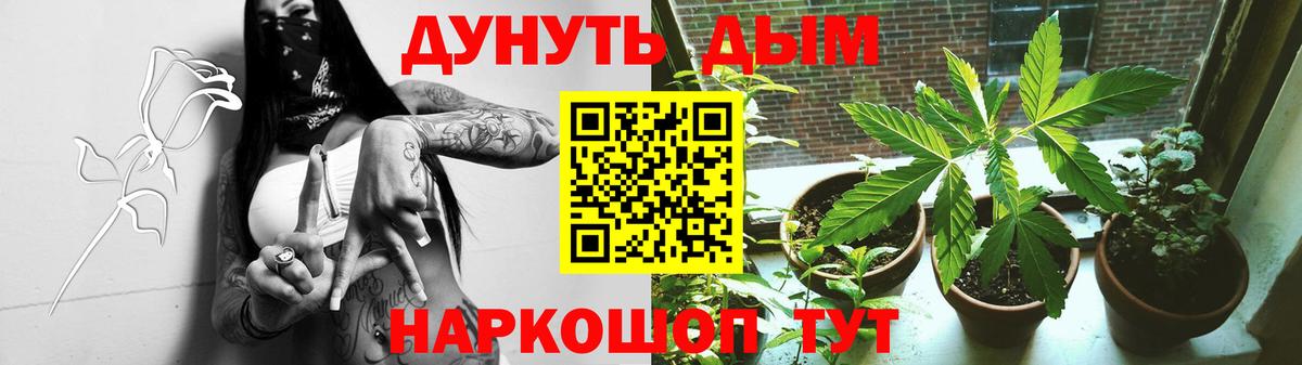 МАРИХУАНА индика  Вход с VPN  Шишки марихуана ГИДРОПОН  Гулькевичи  Конопля Bruce Banner 